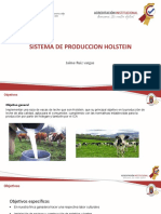 Sistema de Produccion Holstein