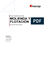 Molienda y Flotacion