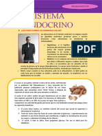 Sistema Endocrino Ficha de Trabajo