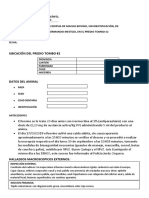 Informe de Necropsia de Macho Bovino