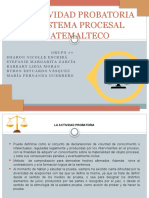 Actividad Probatoria en Sistema Procesal