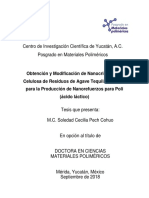 Obtencion y Modificacion de Nanocristales - 133 Paginas