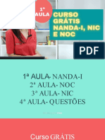 1 Aula Curso Grátis Nanda