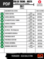 Adaptação - Parte 3 - 4 Semanas