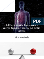 Homeostasis