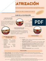 Infografia Cicatrizacion