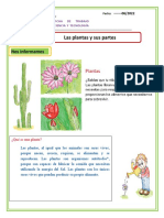 Ficha de Ciencia Las Plantas y Sus Partes.