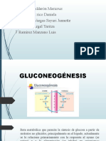 GLUCONEOGÉNESIS