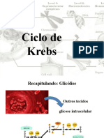 Ciclo de Krebs