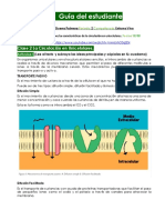 Guía Del Estudiante H: Clase 2 La Circulación en Unicelulares