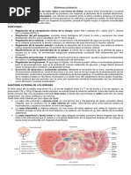 Sistema Urinario EN PDF