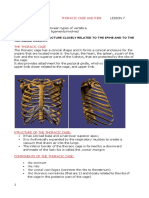 ANATOMY I 20.03.20 I Thoracic Cage