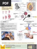 Lactancia, Hidratacion Del Neonato