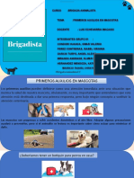 Brigada Animalista - Trabajo Grupal