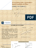 Algebra Vectorial