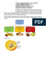 E-6 Composicion de Frutas y Hortalizas