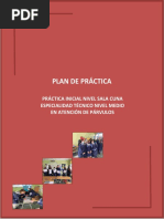 Plan de Practica Sala Cuna - 2022