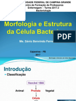 Morfologia e Estrutura Da Célular Bacteriana