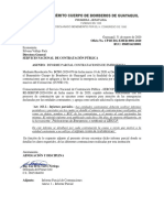 Modelo Informe Parcial 1 CBG