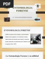 ENTOMOLOGIA FORENSE Cleu