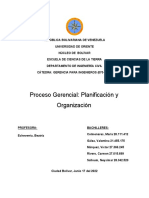 Proceso Gerencial Plainificacion y Organizacion