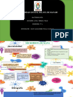 Organizador - Bacteriologia - 5A - Toala