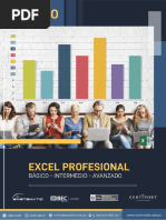 Temario Excel Profesional Basico