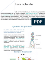 Biofísica Molecular