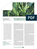 Transgenicos en La Agricultura