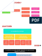 Introduccion A La Anatomia