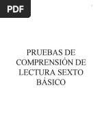 Prueba Compresion Lectura 6