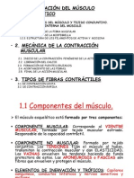 Fisiologia de La Contraccion Muscular