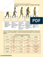 Prehistoria Ficha