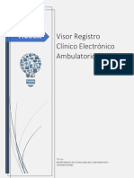 Visor Registro Clinico Electronico Nuevo