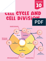 Cell Cycle and Cell Division