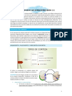 2.1. Aclaración Sistema Límbico