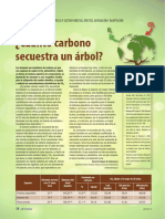 ¿Cuánto Carbono Secuestra Un Árbol