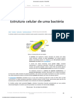 Estrutura Celular de Uma Bactéria - PrePara ENEM