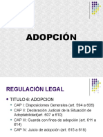 Power Point Adopcion