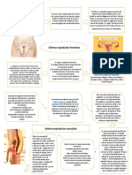 Flujograma de Bioquimica