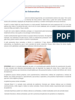 Estudando - Design de Sobrancelhas - Prime Cursos