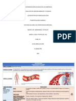 Hipertencion Arterial 