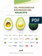 Cultivo, Poscosecha y Procesado Del Aguacate