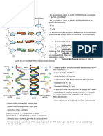 Biologia Molecular