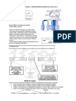 Exercicios Aula - BZD