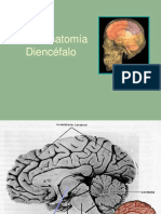 Diencéfalo 2022-1 Neuro