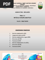 Tema 11. Retículo Endoplasmático