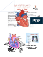 Cardio Fisio