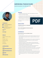 CA Ramakrishna CV