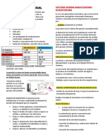 Hipertensión Arterial y Sistema Raas-Resumen